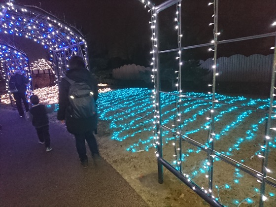 アンデルセン公園でクリスマス特別イルミネーション Harry Up